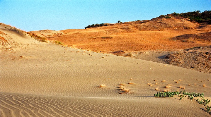 La Paz Sand Dunes