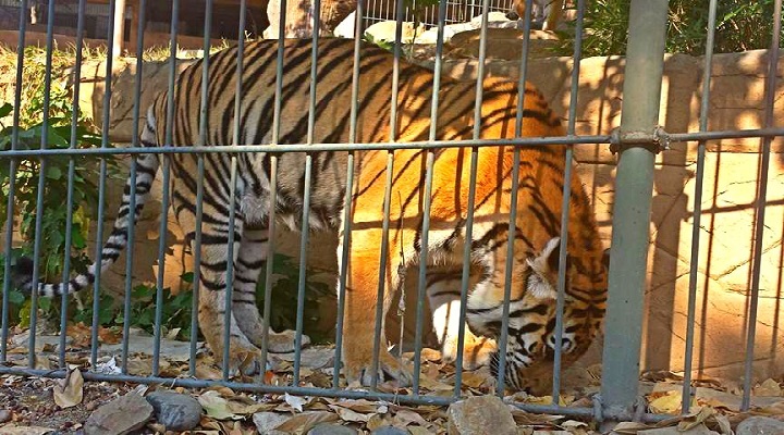 Baluarte Resort and Mini Zoo